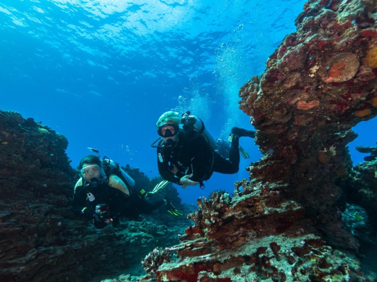 a person scuba diving in Oahu